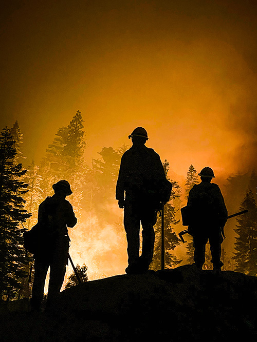 Wildland Firefighting Services